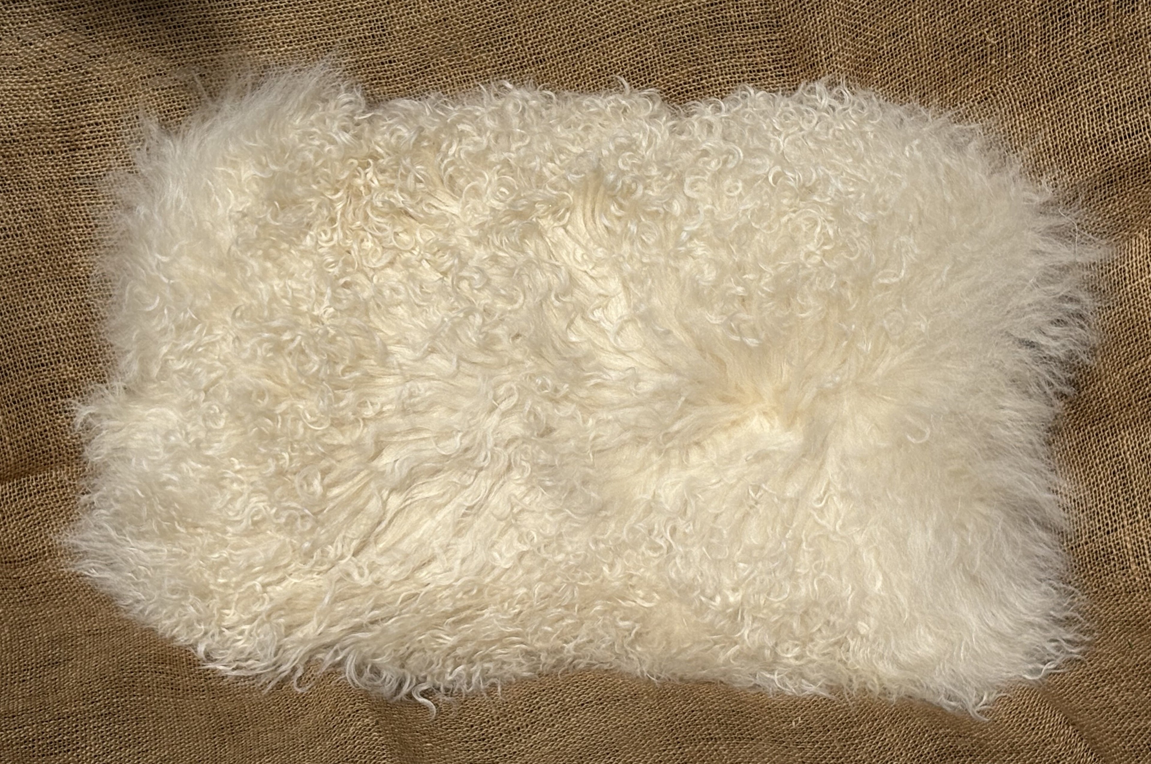 Lumber Leather Pillow