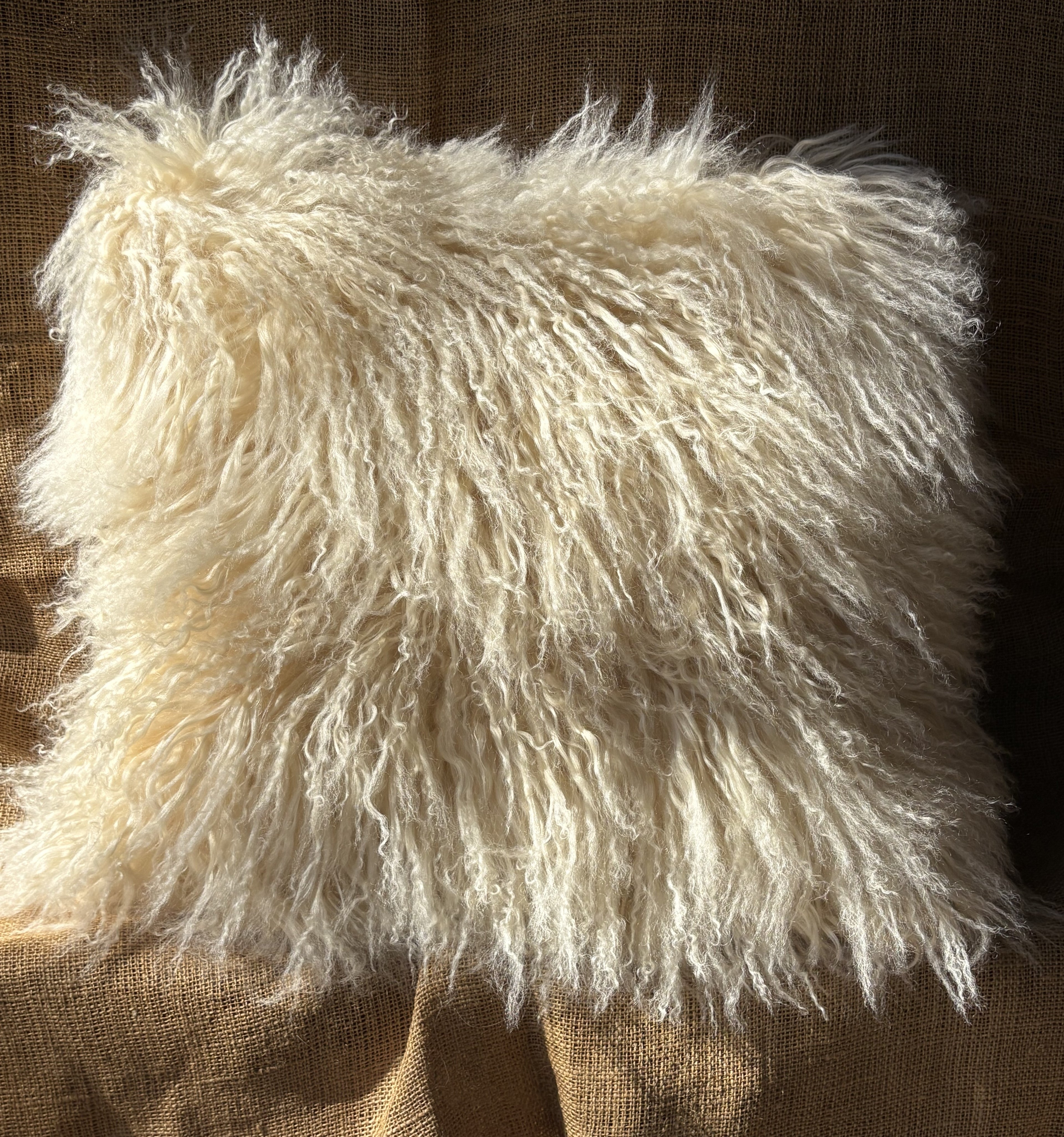 Pendleton Wool Pillow